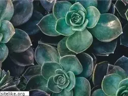 Sites similar to jthoyer.wordpress.com