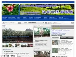 Sites similar to jual-tanaman-hias.com