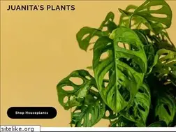 Sites similar to juanitasplants.com