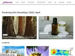 Sites similar to jubdev.com