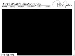 Sites similar to juckiwildlifephotography.com