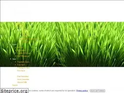 Sites similar to juicysprout.com