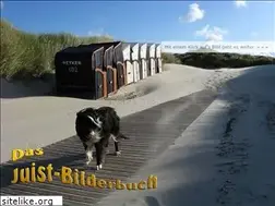 Sites similar to juist-bilderbuch.de