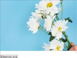 Sites similar to jujubehappy.ch