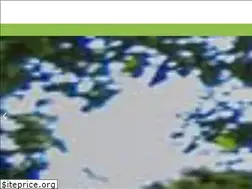 Sites similar to jumpingforest.com