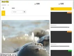 Sites similar to jungle-time.com