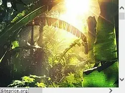 Sites similar to jungletraxcats.com