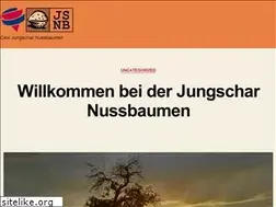 Sites similar to jungschar-nussbaumen.ch