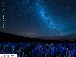 Sites similar to junjitakasago.com