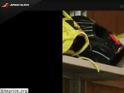 Sites similar to junkei-glove.co.jp
