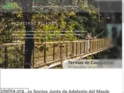 Sites similar to juntaadelantodelmaule.cl
