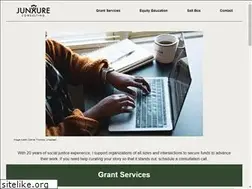 Sites similar to junxureconsulting.com