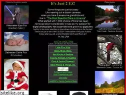 Sites similar to just2ez.com