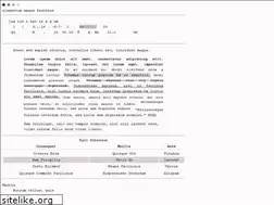 Sites similar to justingum.com