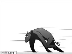 Sites similar to justinppjackson.com