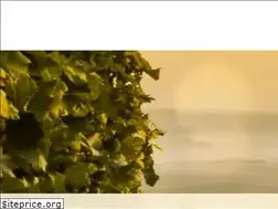 Sites similar to justwine.cz