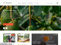 Sites similar to jvlife.ru