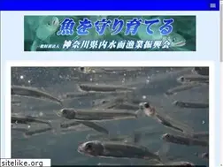 Sites similar to k-naisuimen-g.or.jp
