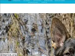 Sites similar to k9edu.com