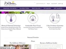 Sites similar to kabloom.com