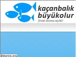 Sites similar to kacanbalikbuyukolur.com