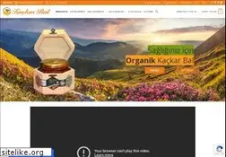 Sites similar to kackarbal.com