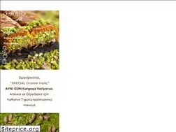 Sites similar to kadayifcisitkiusta.com