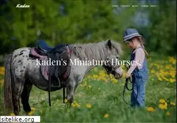Sites similar to kaden.biz