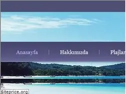 Sites similar to kadinlarplajialtinkum.com