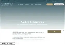 Sites similar to kaemingk.com