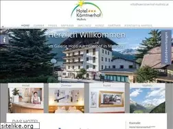 Sites similar to kaerntnerhof-mallnitz.at