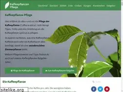 Sites similar to kaffeepflanze-pflege.de