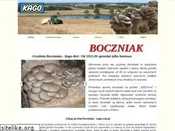Sites similar to kago.com.pl