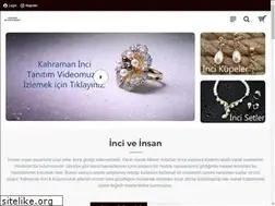 Sites similar to kahramaninci.com