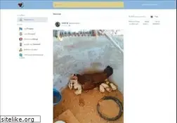 Sites similar to kaichonmarket.com