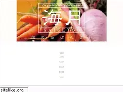 Sites similar to kaigetsu.net