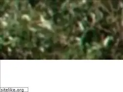 Sites similar to kaireturismo.com.br