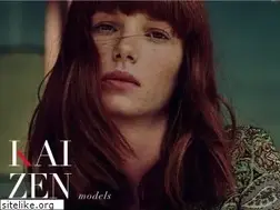 Sites similar to kaizenmodels.com