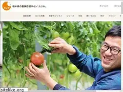 Sites similar to kajiru.world