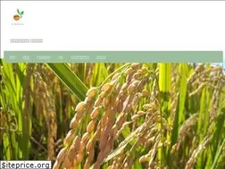 Sites similar to kakewa.work