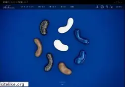 Sites similar to kakimori.com
