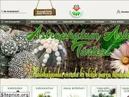 Sites similar to kaktus-sukulent.net