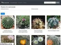 Sites similar to kaktus-world.ru