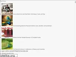 Sites similar to kalakarawards.co