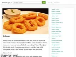 Sites similar to kalamar.gen.tr