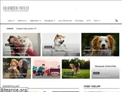 Sites similar to kalbimdekipatiler.com