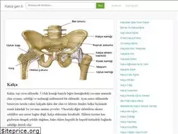 Sites similar to kalca.gen.tr
