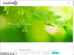 Sites similar to kaleidoko.com
