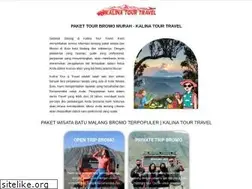 Sites similar to kalinatourtravel.com