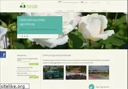 Sites similar to kalisiak.pl